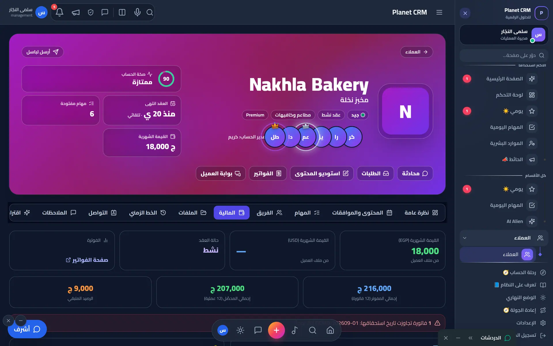 ملف العميل — التبويب المالي بالفواتير والأرصدة